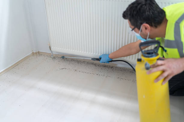 Best Best Pest Control Companies  in Sterling, CO