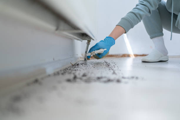 Best Emergency Pest Control  in Sterling, CO