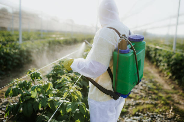 Best Best Pest Control Near Me  in Sterling, CO